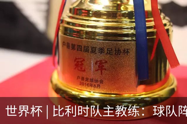 世界杯 | 比利时队主教练：球队阵容齐整，对淘汰赛充满信心