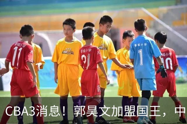 CBA3消息！郭昊文加盟国王，中国男篮抵达沈阳，杜锋观战粤BA！